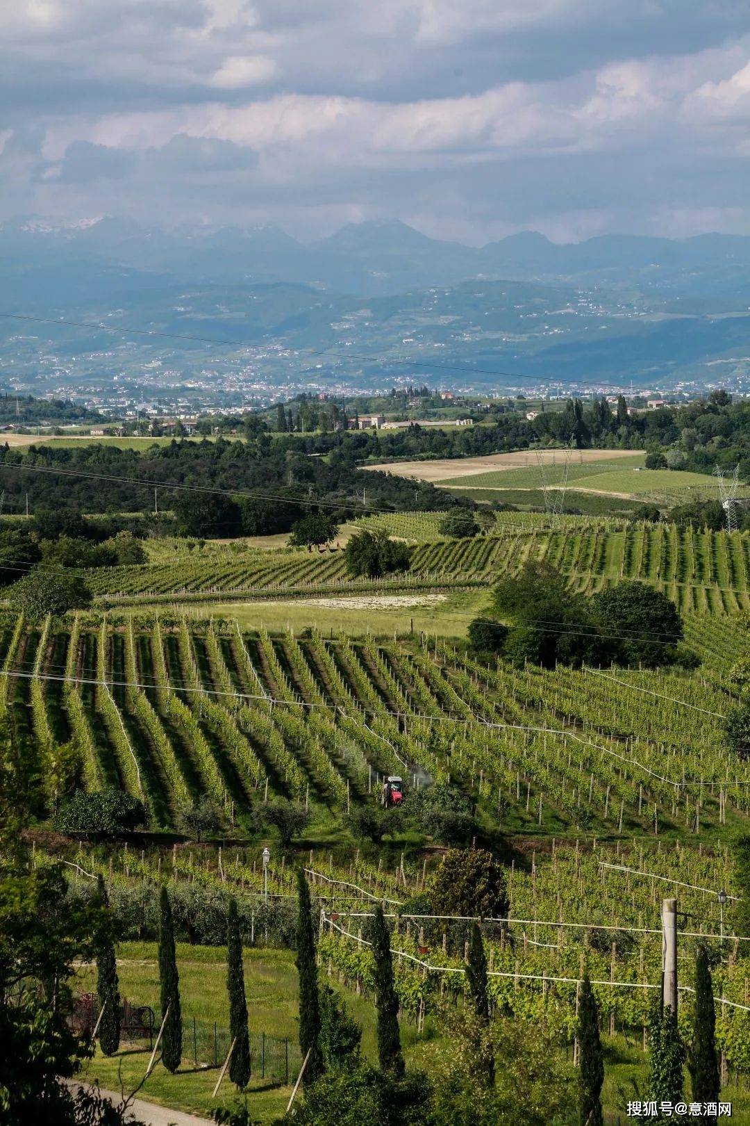 爱好者|葡萄酒爱好者最爱的5个旅行目的地发布,第一个就美爆了!