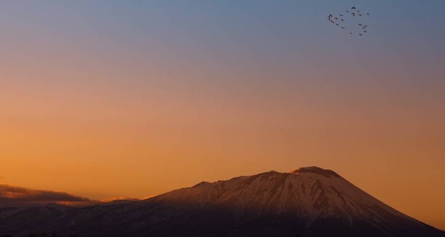 捕捉用户需求家电厂商有路可走-家电圈官网