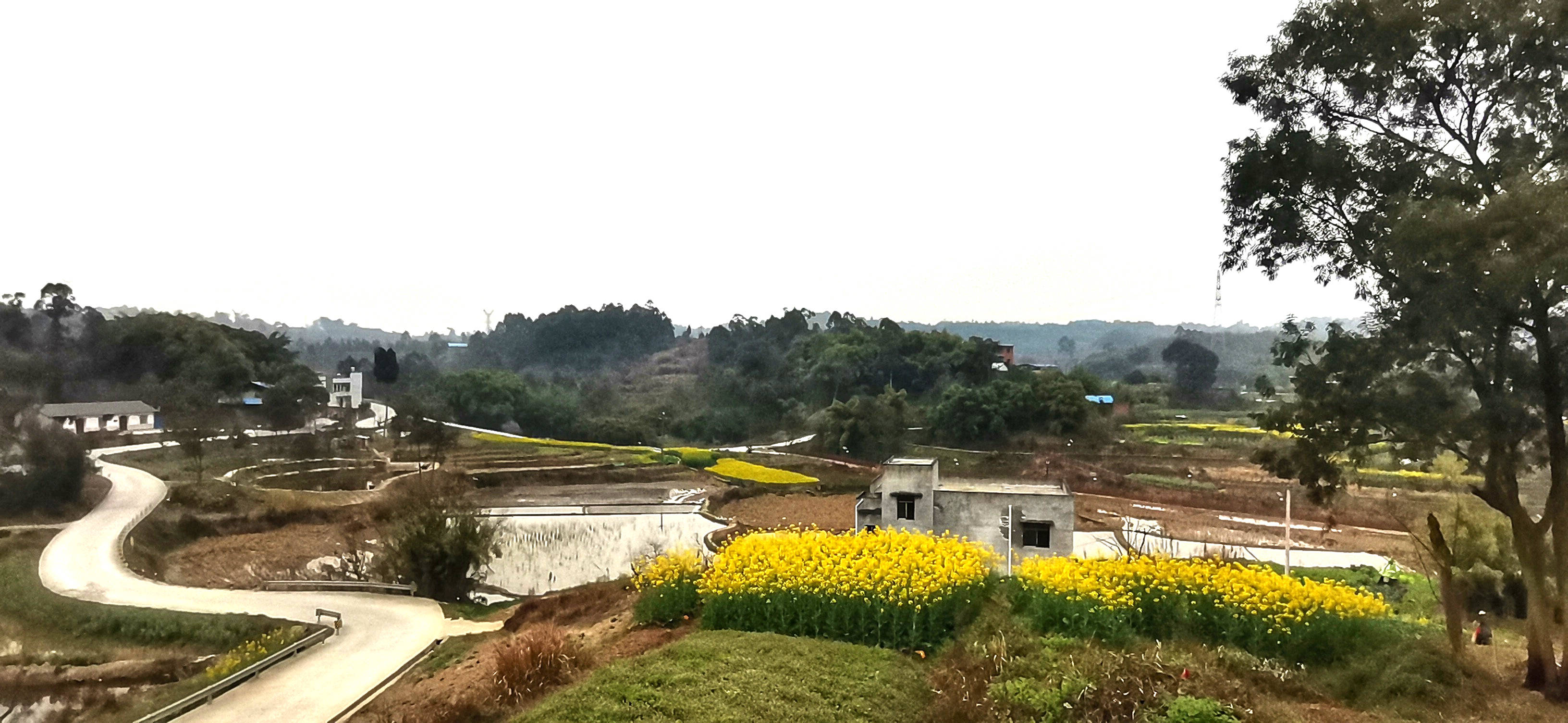 二月末的一天,乘车去了重庆永川区陈食镇.