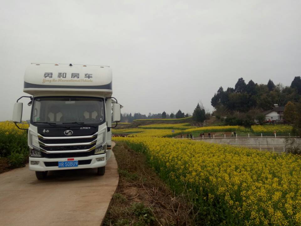 油菜地|“锅盔凉粉”免费吃！南充嘉陵龙蟠镇司南垭千亩油菜花惊艳上线！