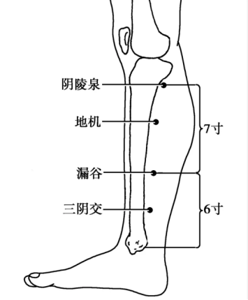 影响|西安市第一医院张璇：春困不期而至，养生秘笈助你不做“频困户”