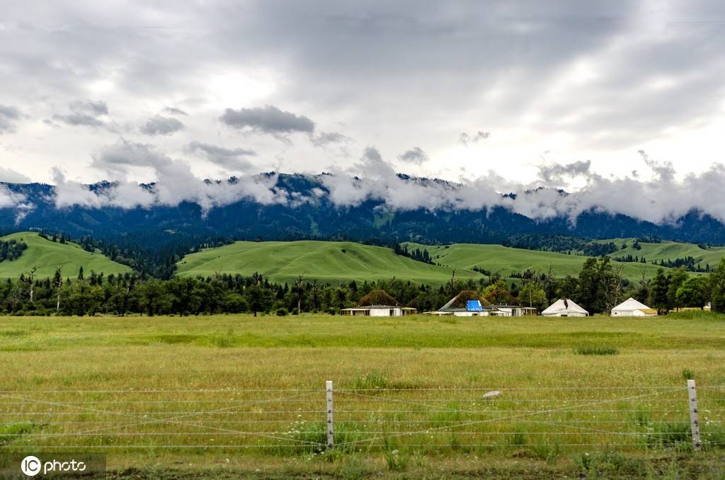 新疆伊犁新源县那拉提草原风光美如画