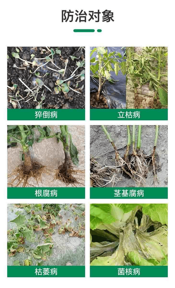 新品|农极客小电棍甲霜·噁霉灵新品上市，作物根部病害就用它！