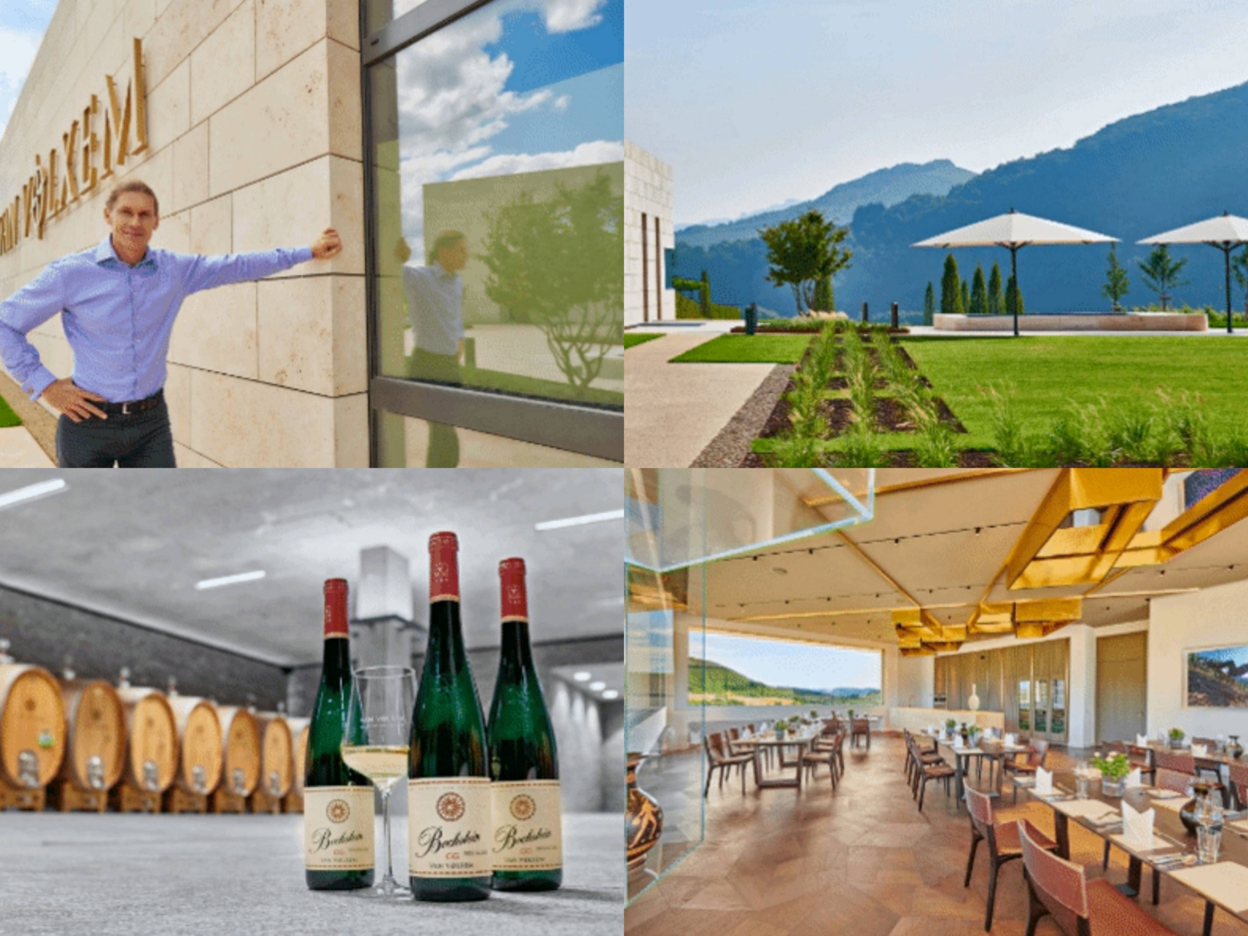 葡萄|雷司令的第587个生日,带你走进顶尖产区!