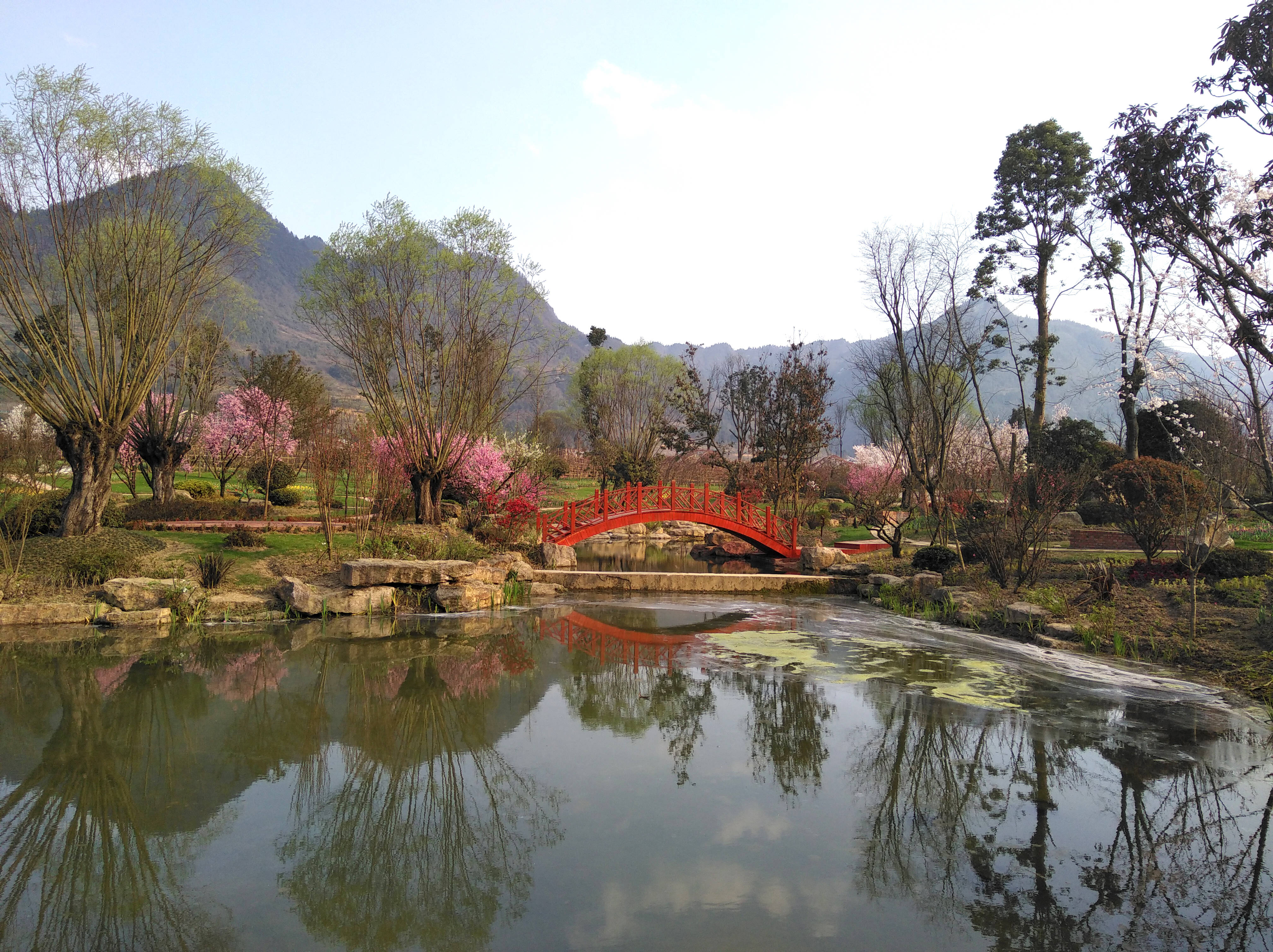 湄潭水湄花谷图片