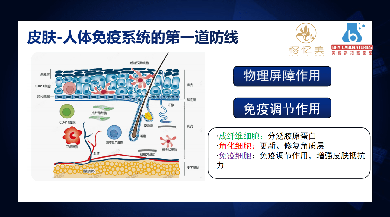 免疫力榕忆美：揭秘“皮肤免疫力”护肤原理