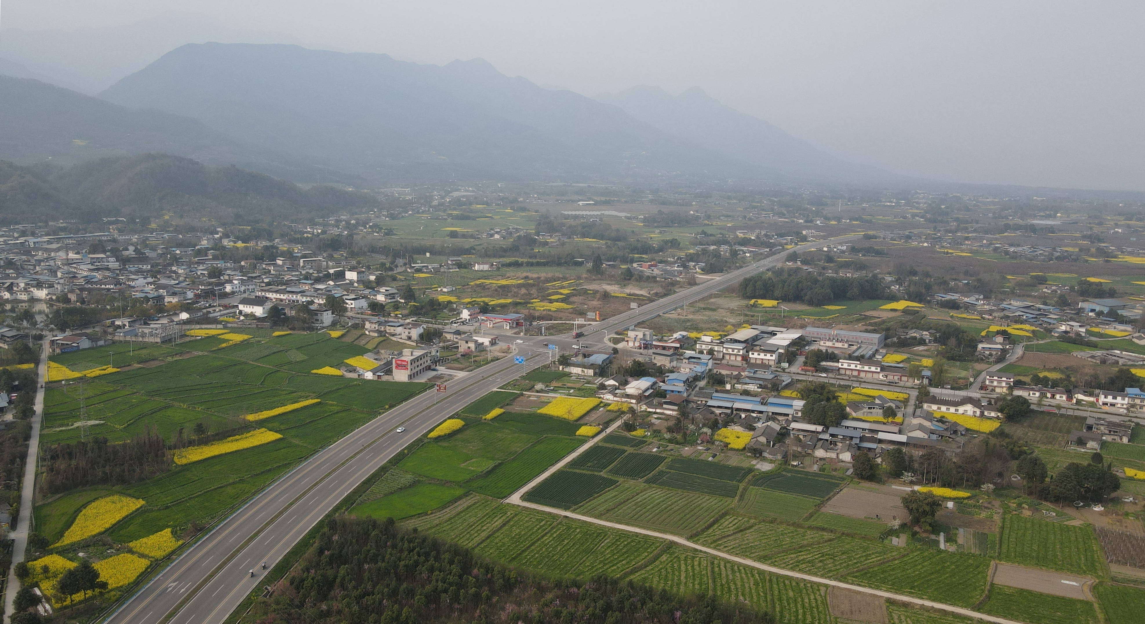 九龙镇推动景村融合020202激发乡村振兴新活力