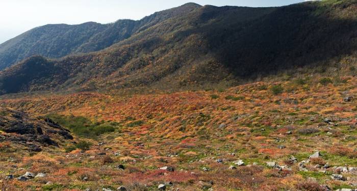母婴家电市场逆势上涨，但家电厂商不能掉进欺骗不诚信的陷阱-家电圈官网