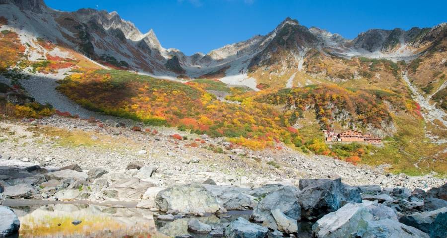 主业的战略回归才是家电业正道-家电圈官网