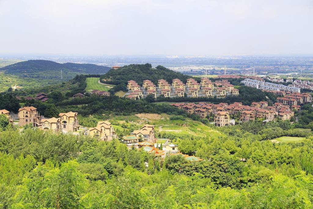 悠然见南山仰首观大佛