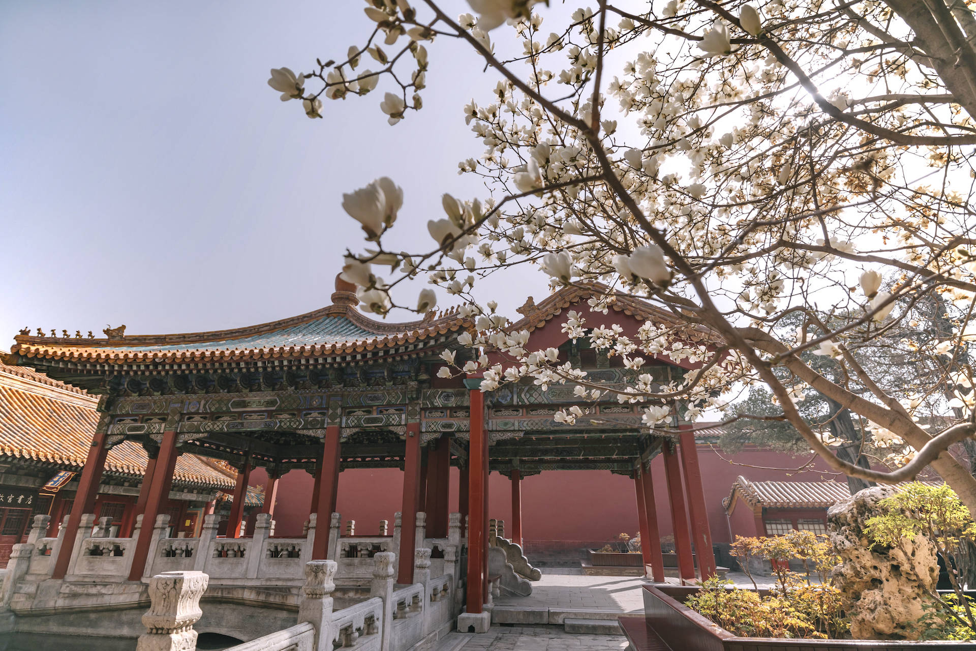 故宫春日海棠未雨梨花正好