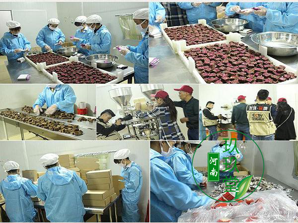 河南袋泡茶生产加工袋泡茶代加工生产厂家