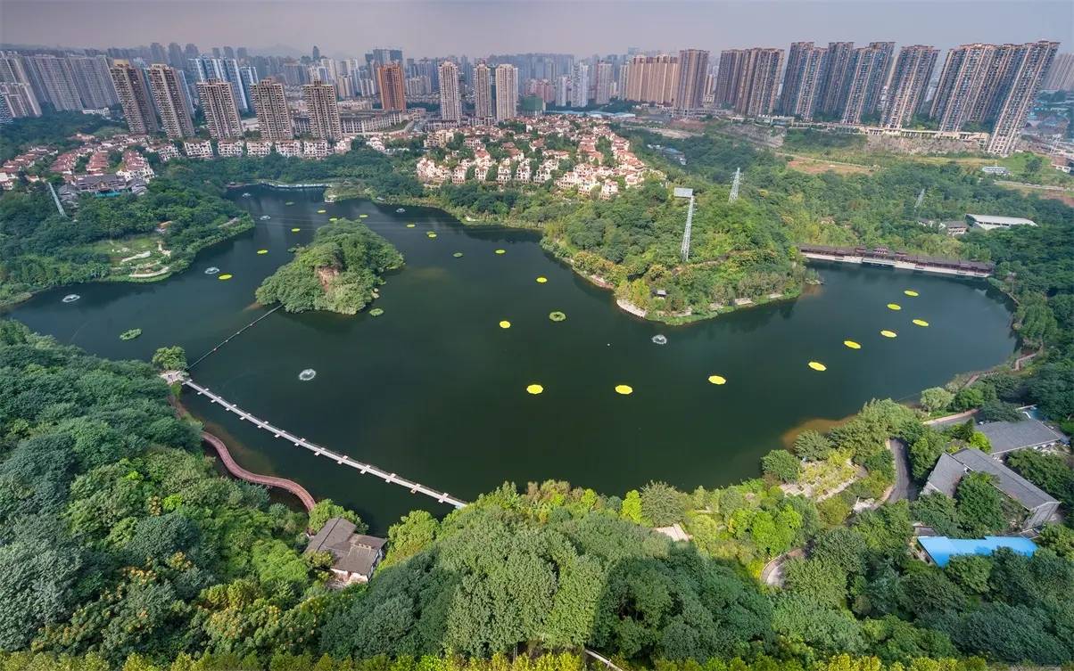 重庆·中交城 | 如此便捷的生活配套,是否也方便了您_盘龙_城市_公园