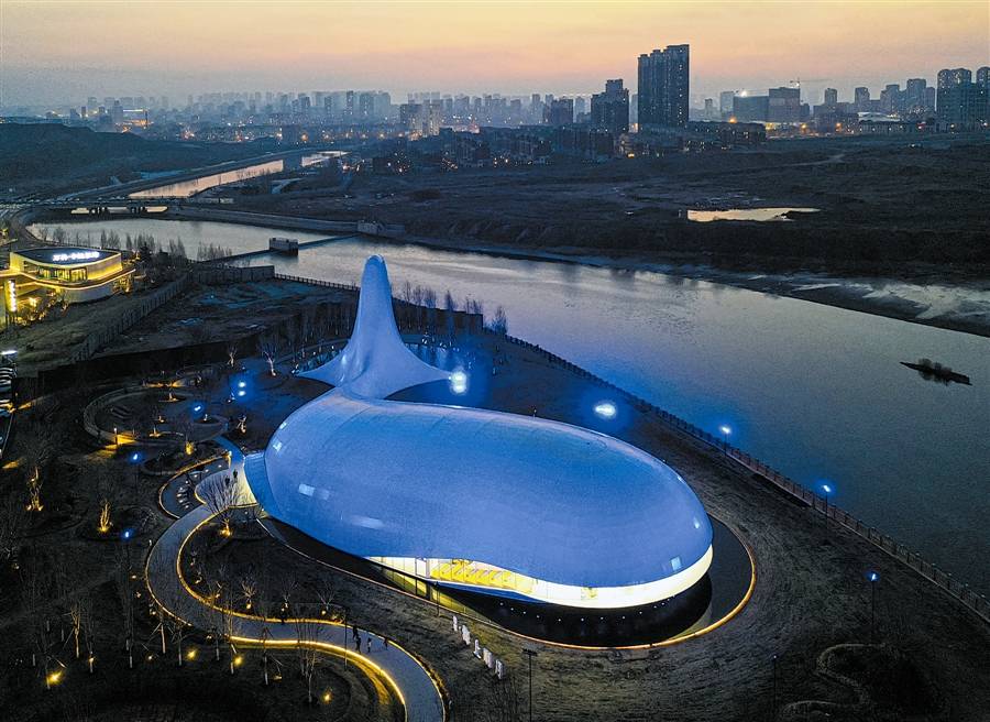 大连新网红鲸鱼美出圈