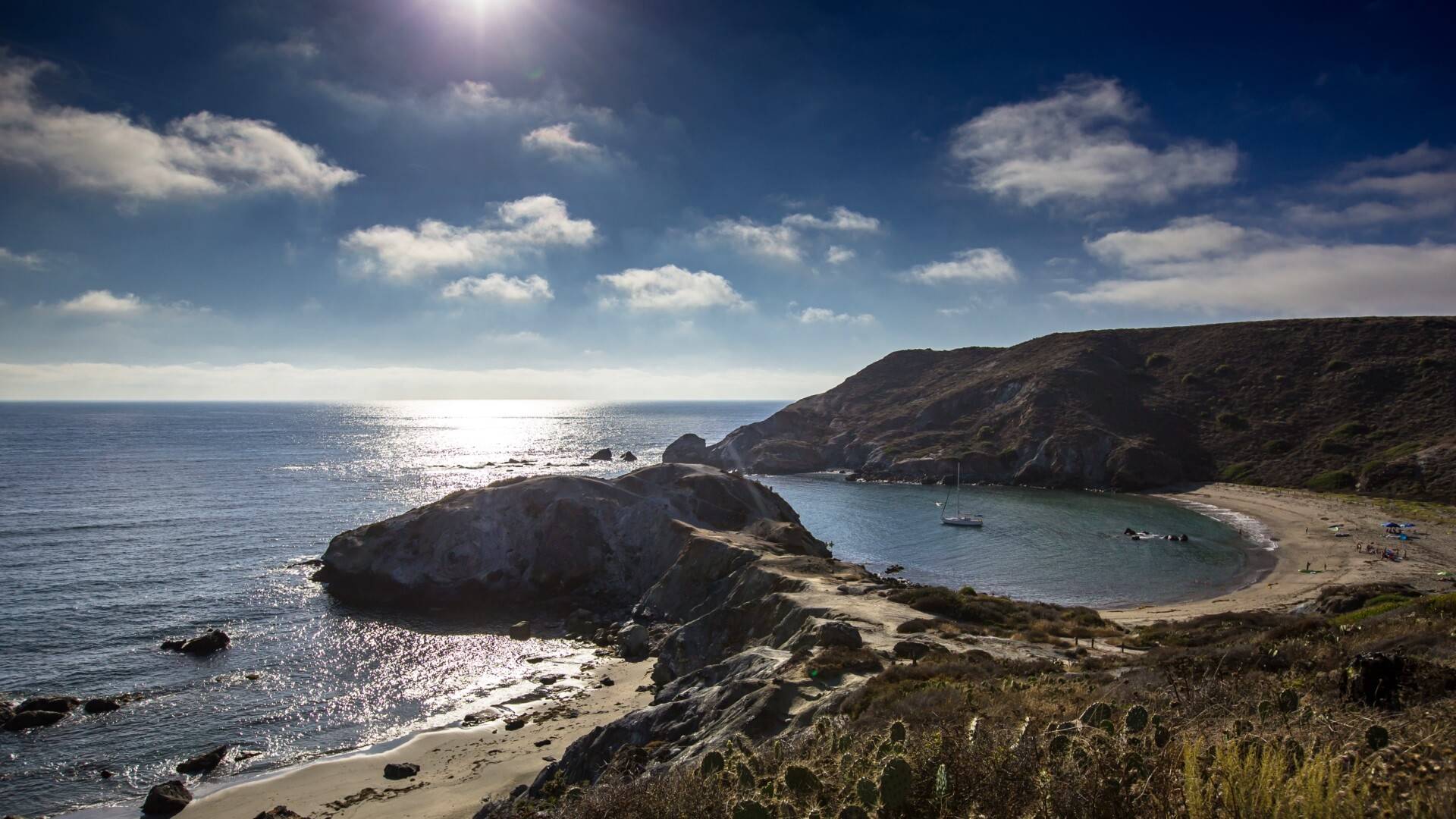 卡塔利娜鲸鱼湾5k动态壁纸