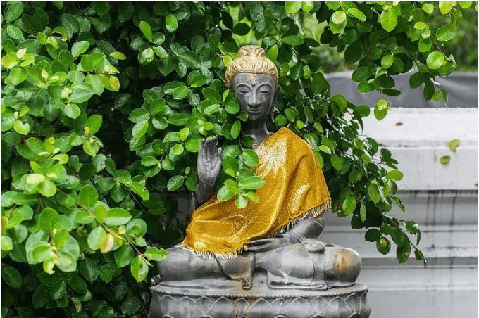 有佛缘的人，具有哪些特征呢？