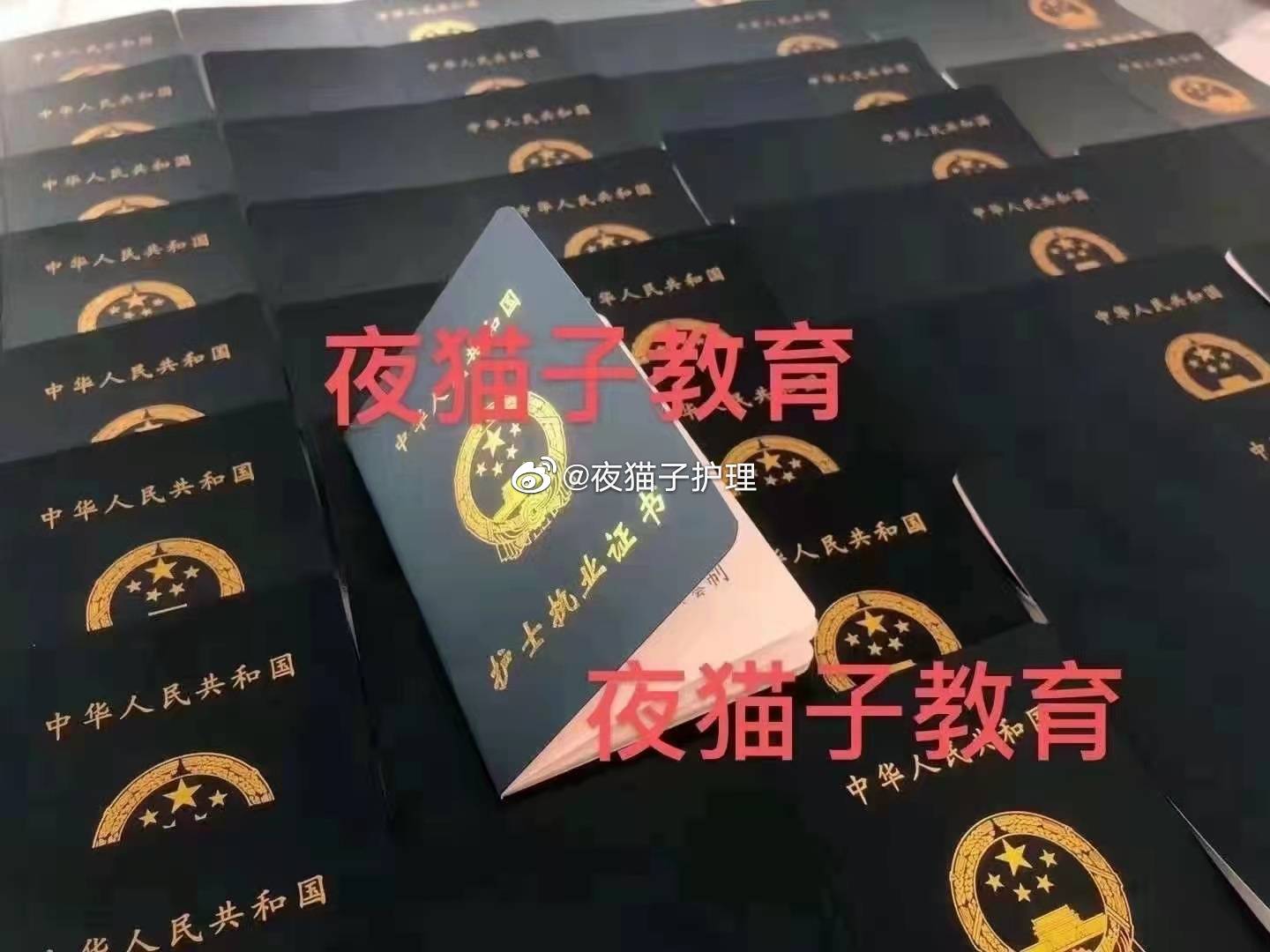 (六)医疗卫生机构拟聘用的相关材料.