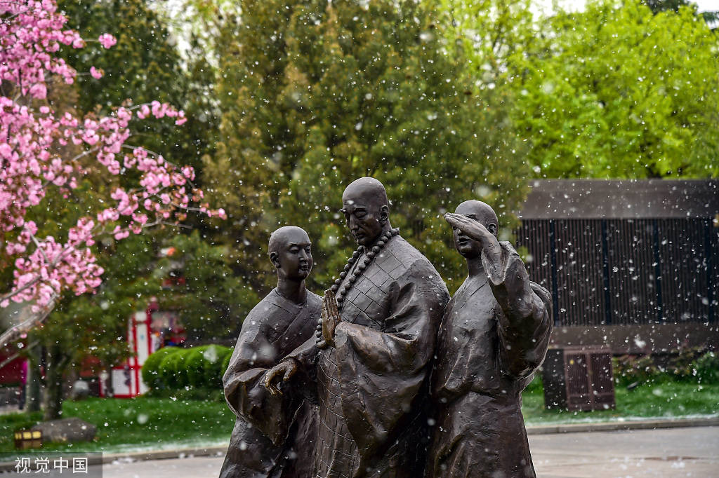 又是一年飞絮时!各地柳絮杨絮漫天飞舞如雪飘-搜狐大视野-搜狐新闻