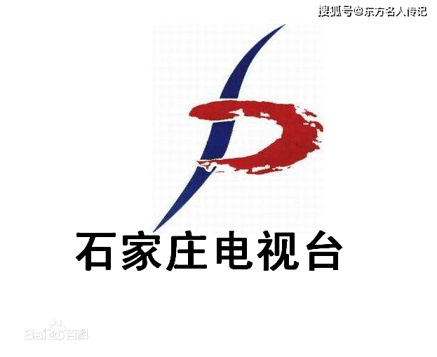 陈九怪传记石家庄电视台专访扬州第九怪陈九怪画鹤艺术