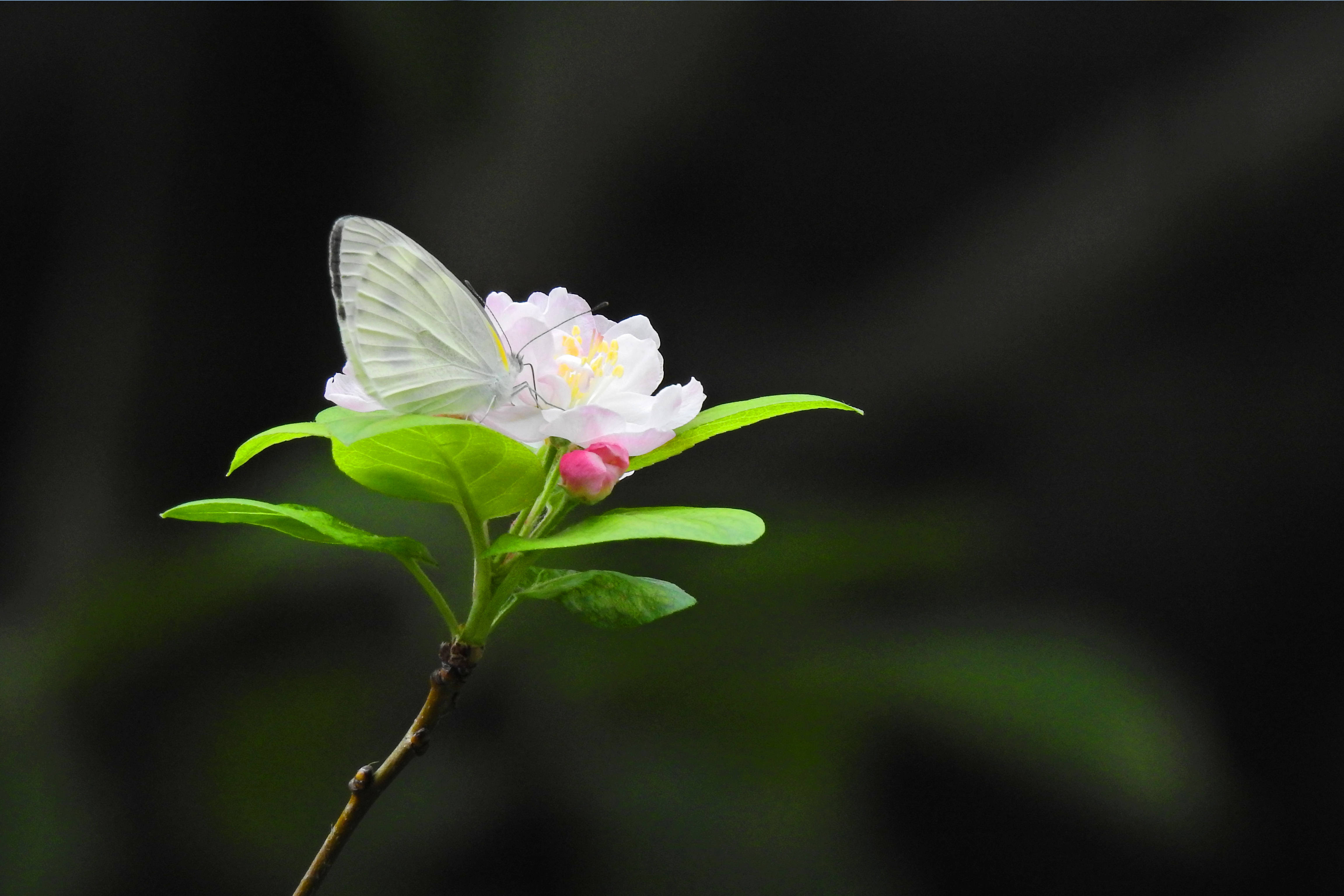 惊蛰丨传统节气中的劳动教育二