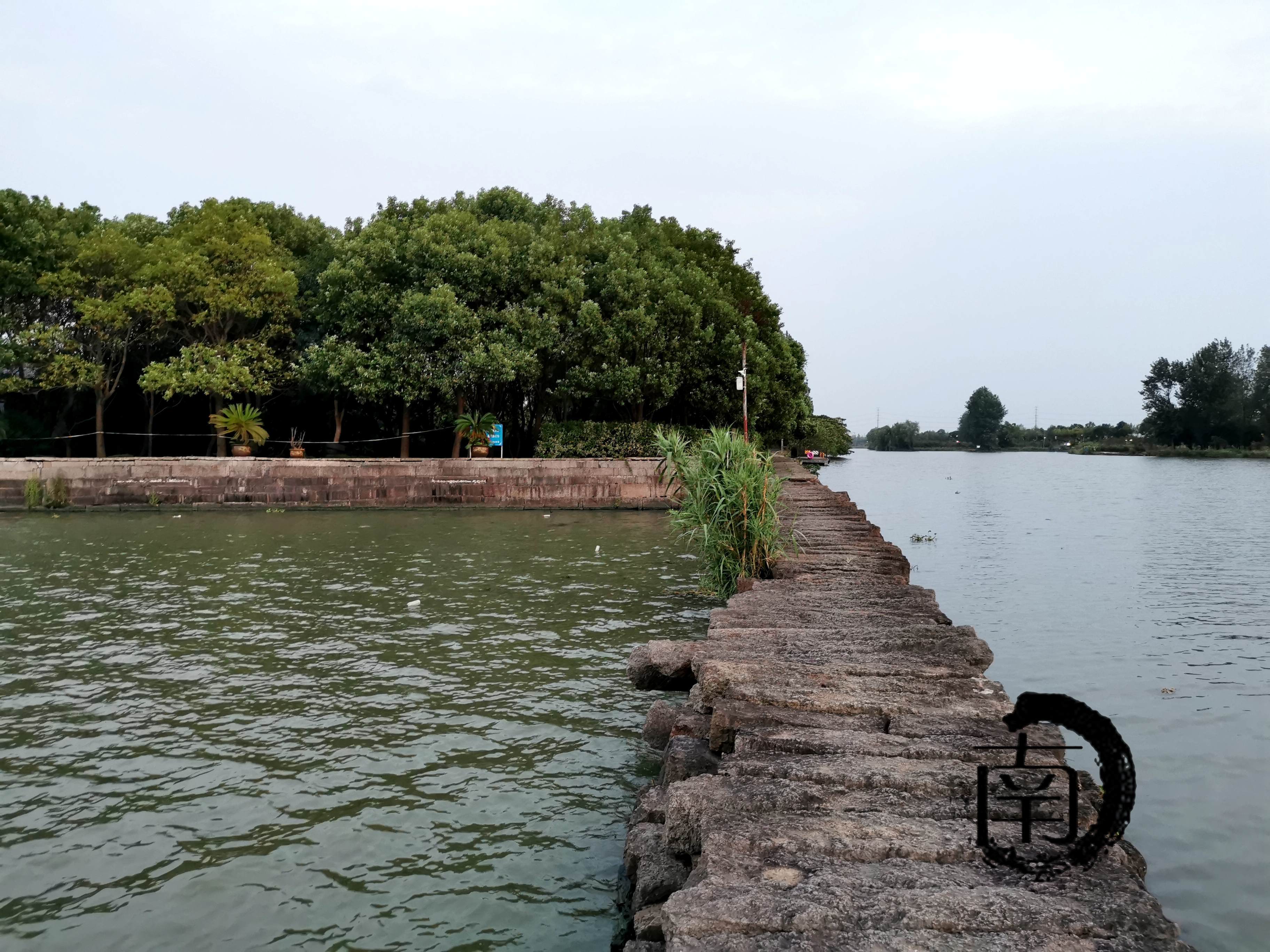 浙绍兴18犭茶湖避塘