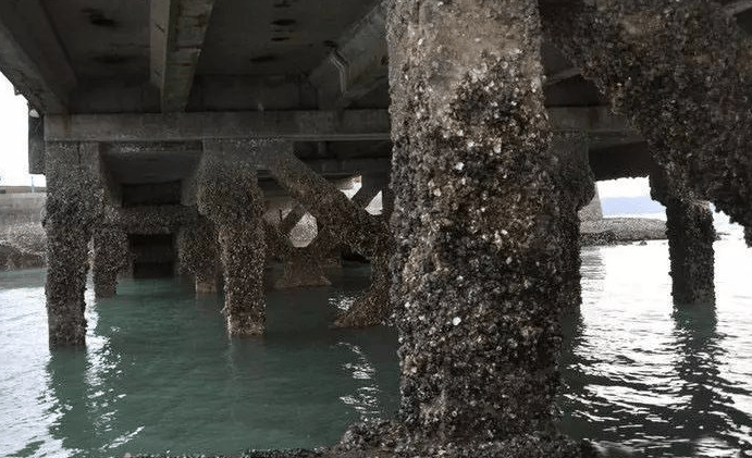 钢结构腐蚀的解决措施有哪些呢?_表面_大气_涂层