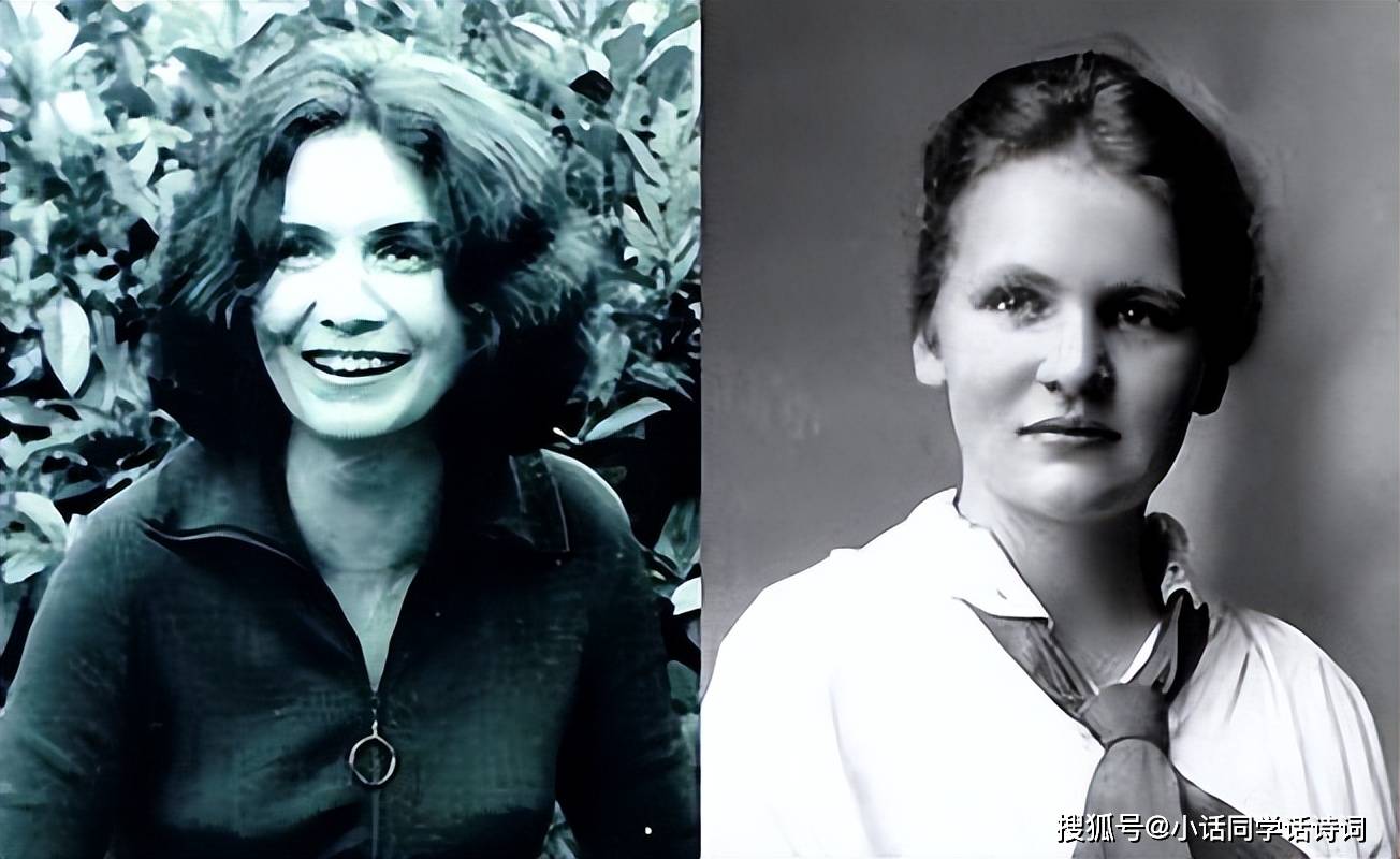 原创爱丽丝门罗14部短篇小说集1次诺贝尔文学奖她被誉为加拿大的