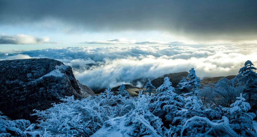 家电大企业要敢破局但中小企业要死守-家电圈官网