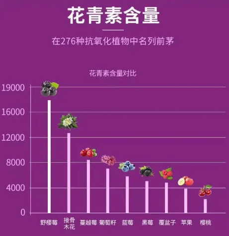 不老莓花开,洁白花瓣上的点点红星, 透红曜生机_种植_花青素_烟台