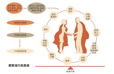 肥胖有高度的遗传性,目前有不少研究表明肥胖与多基因遗传有关.