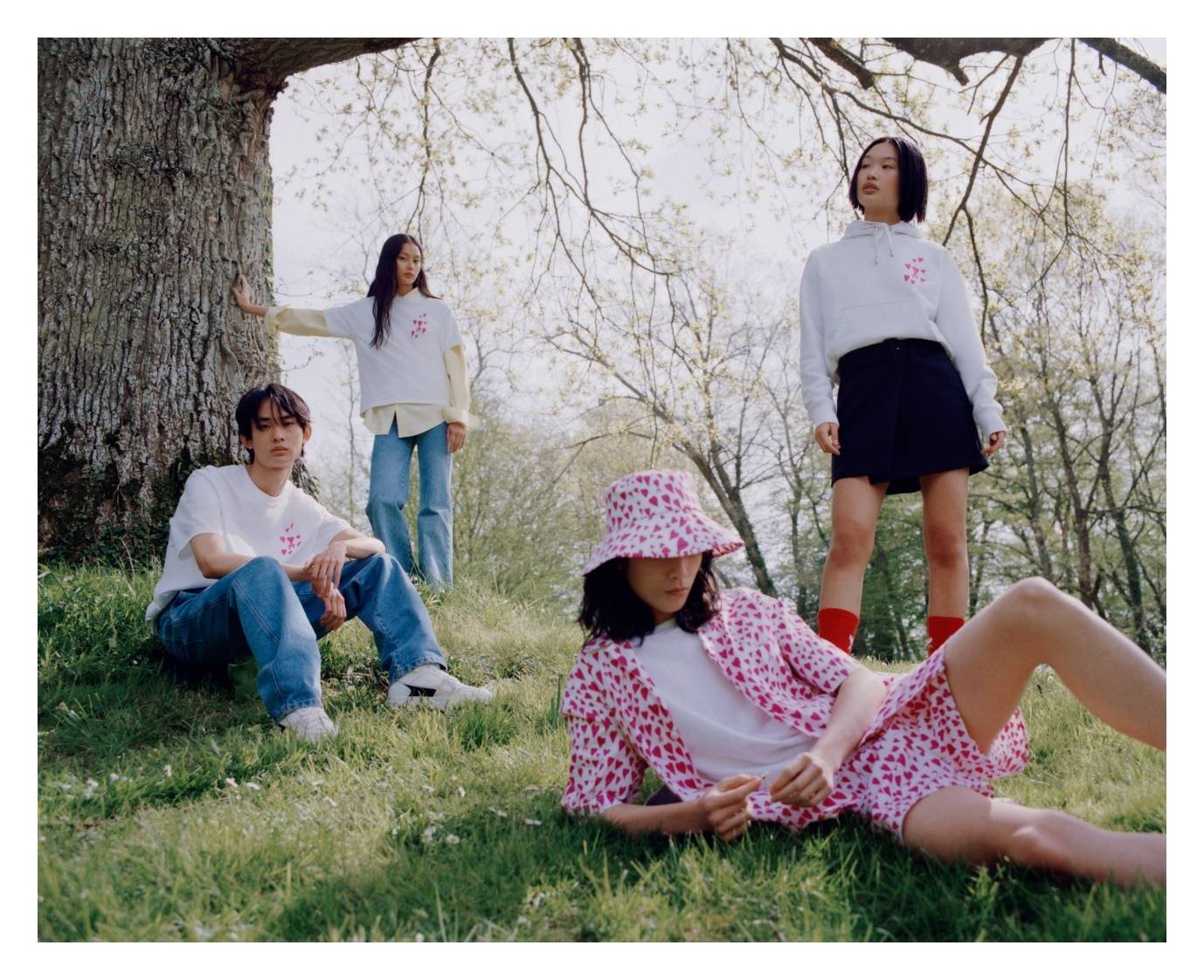 AMI推出520胶囊系列新品发布 