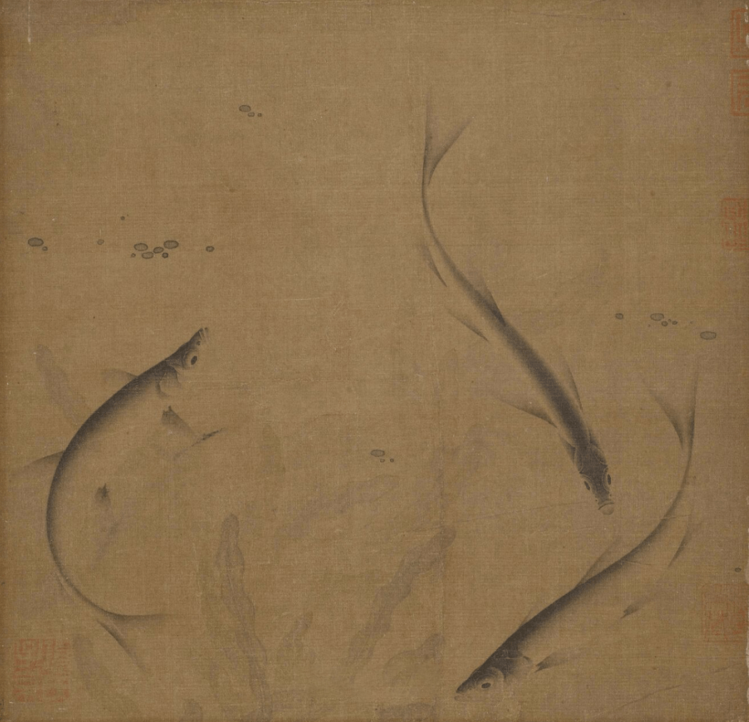 焉知鱼之意 | 说鱼纹_纹饰_时期_青花瓷