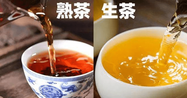 帝芙特说茶普洱茶生茶和熟茶的5大区别
