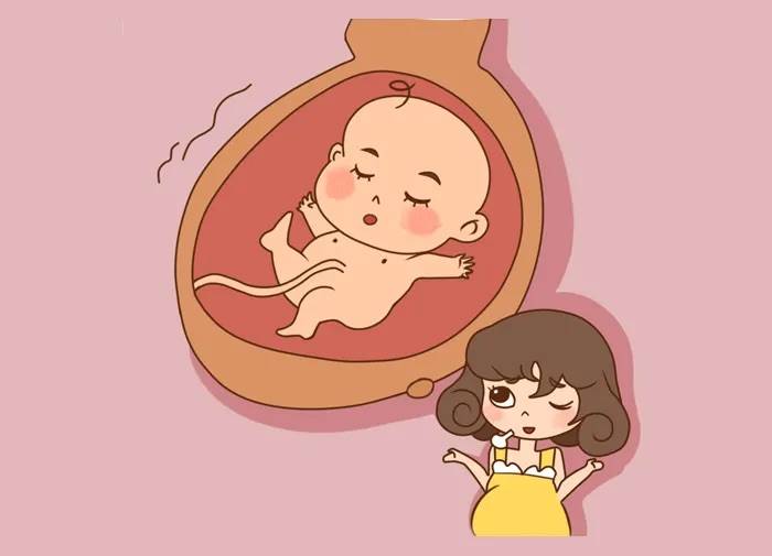 成都正规助孕机构（做试管婴儿会很痛吗？试管婴儿的字治疗步骤有哪些？）