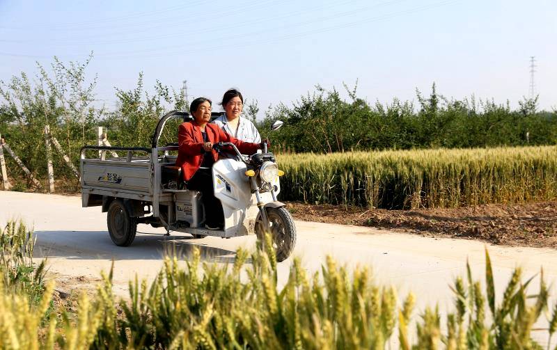 山西夏县:一个修锁匠的思乡情_孙俊杰_司马村_柏枝