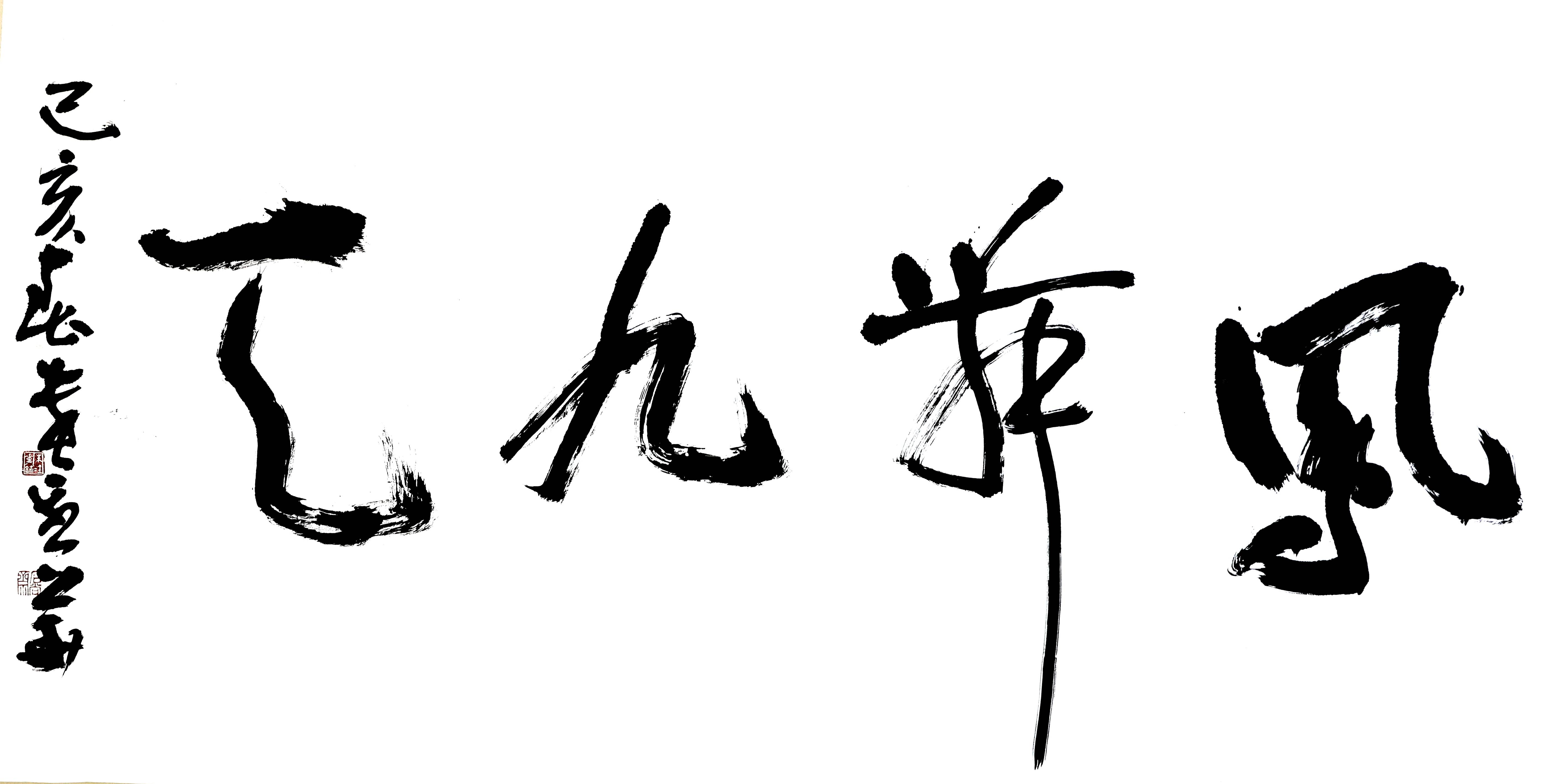 朱金华书法凤舞九天