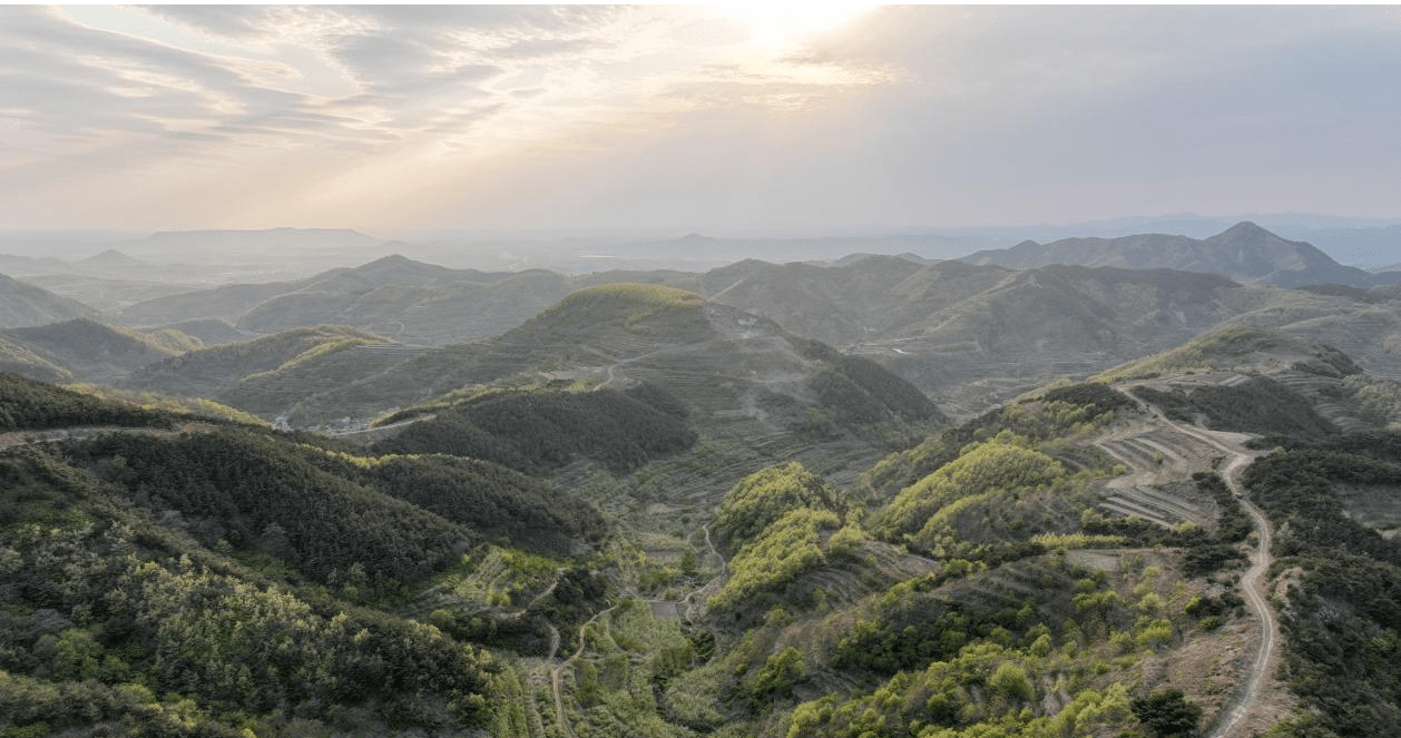 栖霞牙山国家森林公园图片