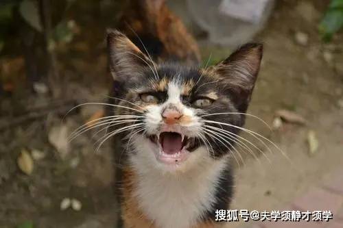 原创
每日一笑:晚饭过后,媳妇喊道:这有啥好看的,咱们还是做正事吧!
