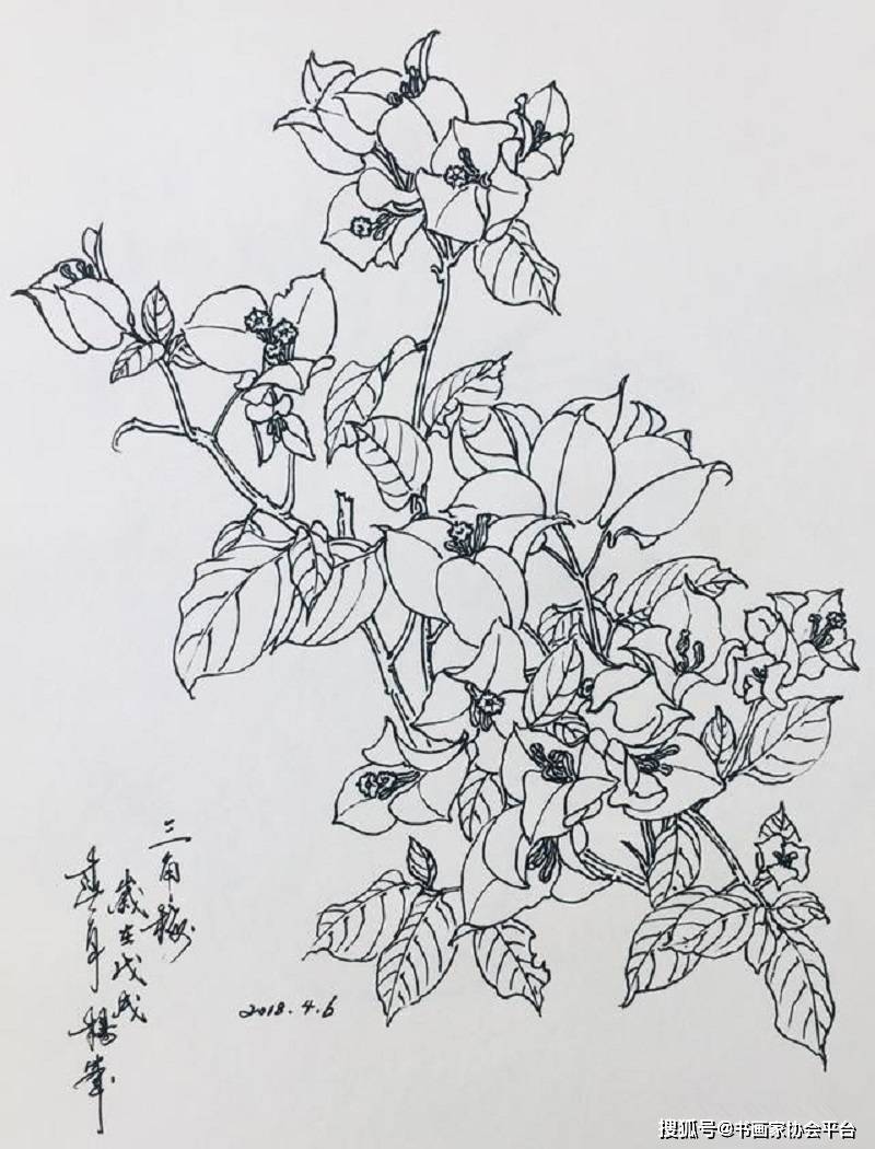 紅樓夢裡,同樣是柳絮,