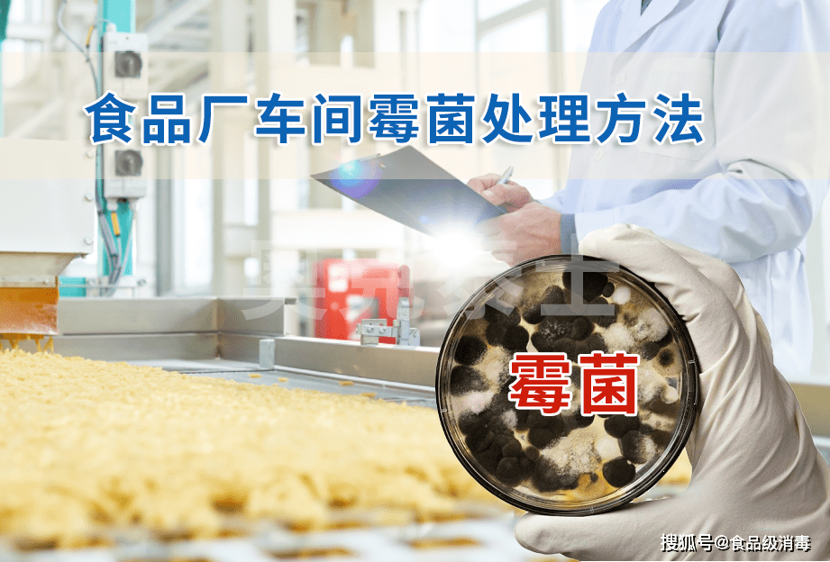 食品厂车间霉菌污染处理方法空间环境消毒灭菌