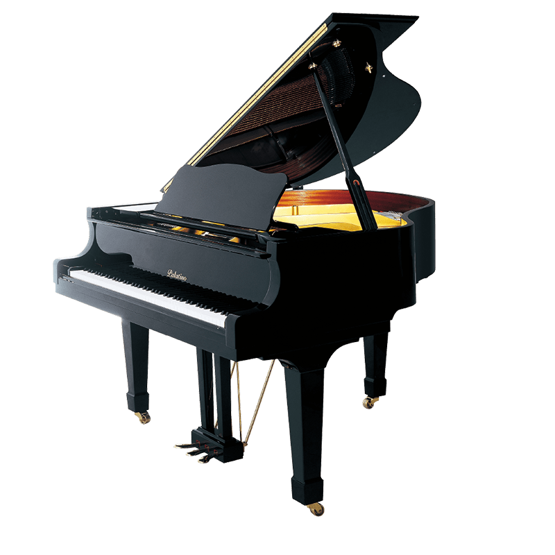 palatino帕拉天奴钢琴工厂简介