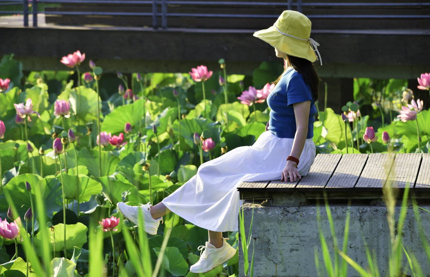 荷塘边轻烟薄雾里,来回走动的美女,宛若荷花仙女下凡