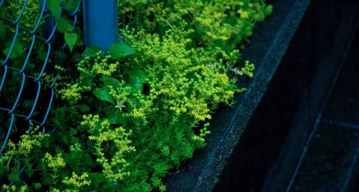 好运气早就没了!家电厂商今年开始只能靠实力与沉淀-家电圈官网