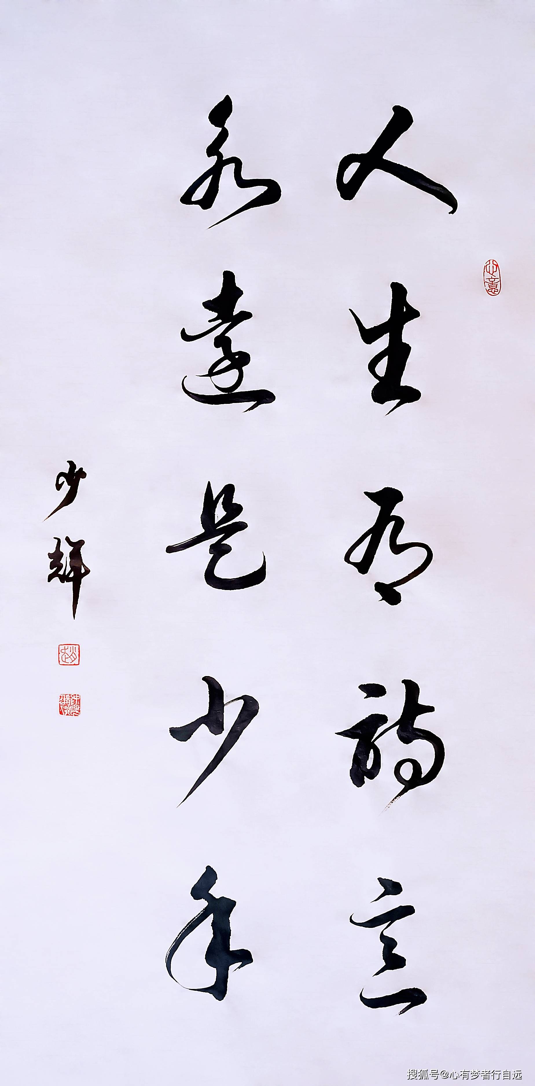 书法欣赏人生有诗意永远是少年