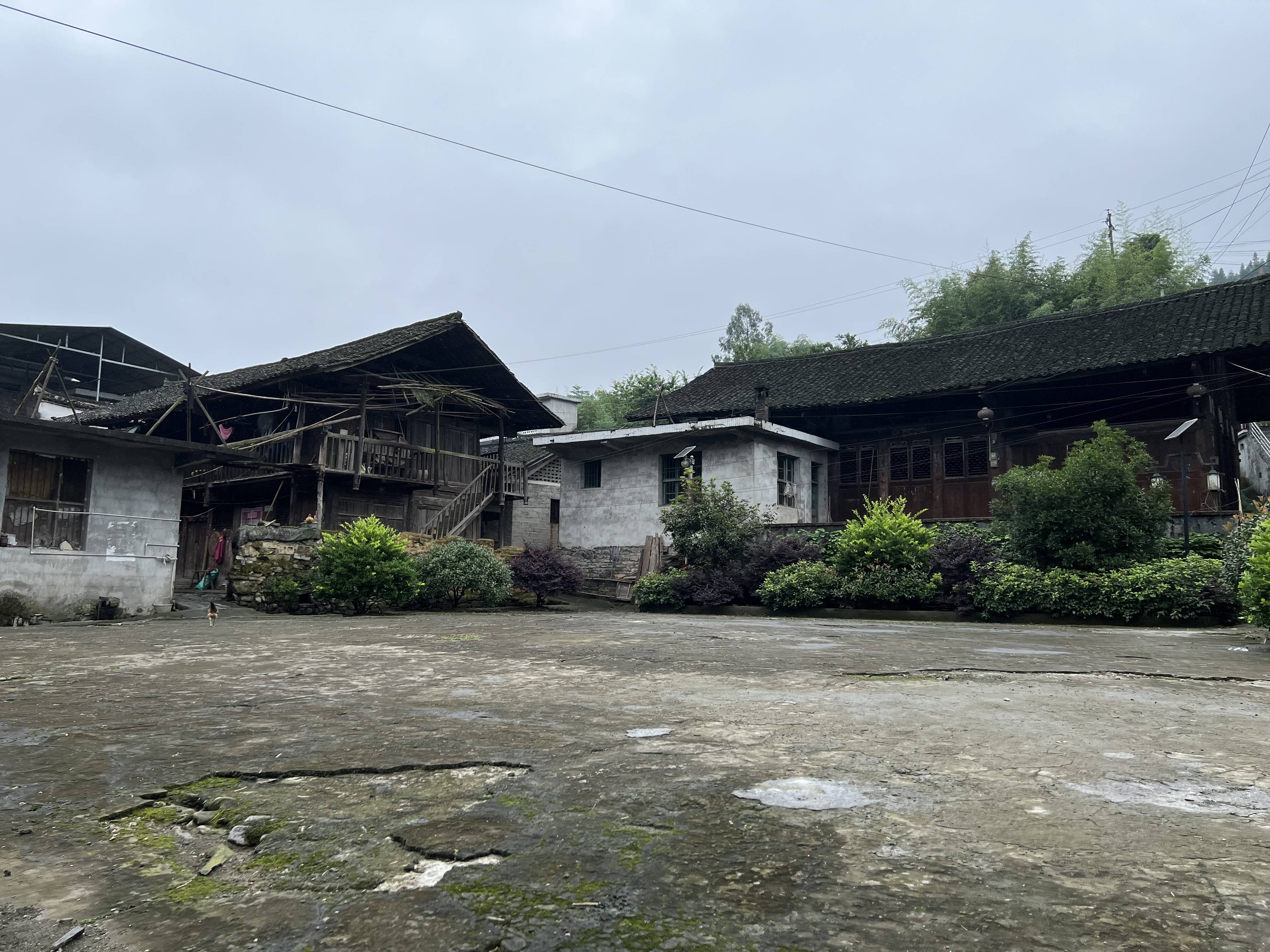 湖北学子三下乡访文化名村龚家湾享古朴风韵绕云端