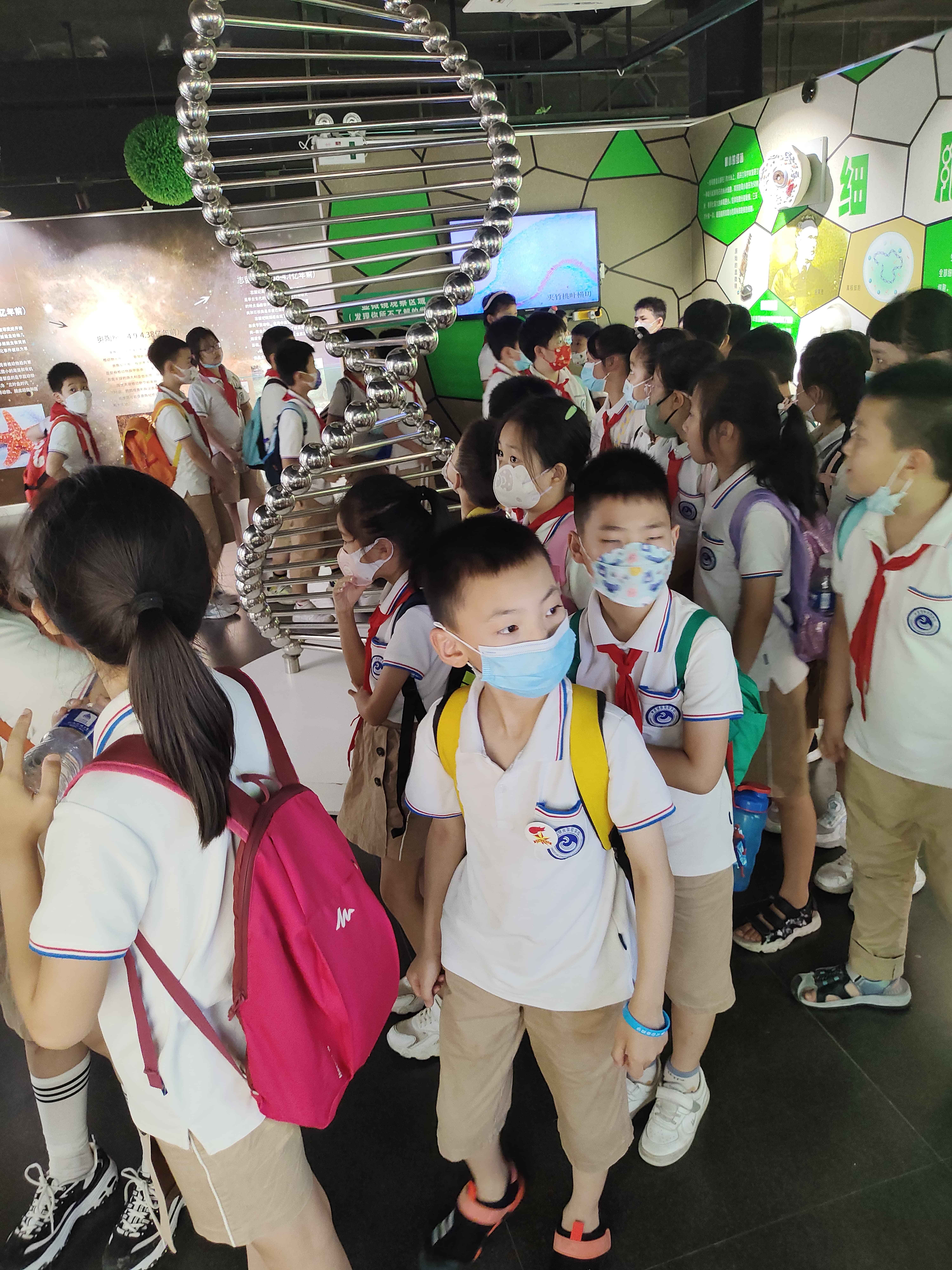 郑州宝藏暑期夏令营分享，孩子们到生命科学馆涨知识啦，来一场生命探索之旅
