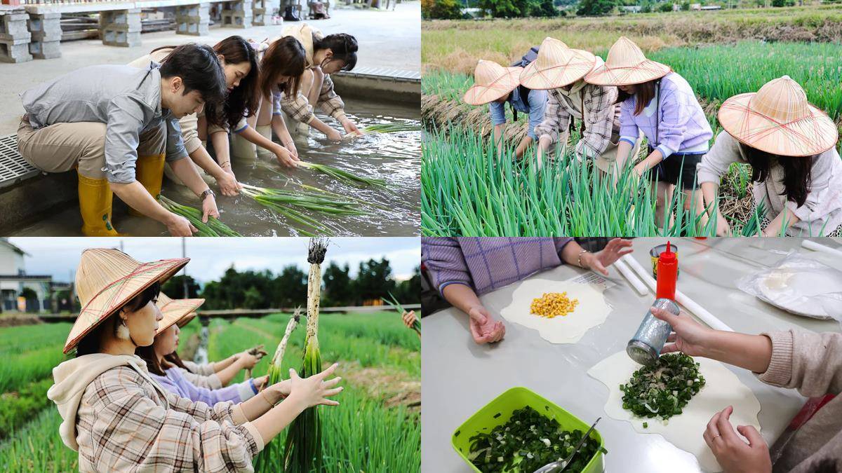 位于宜兰三星乡的「农夫青葱体验农场」有很多种票价方案,最划算的a