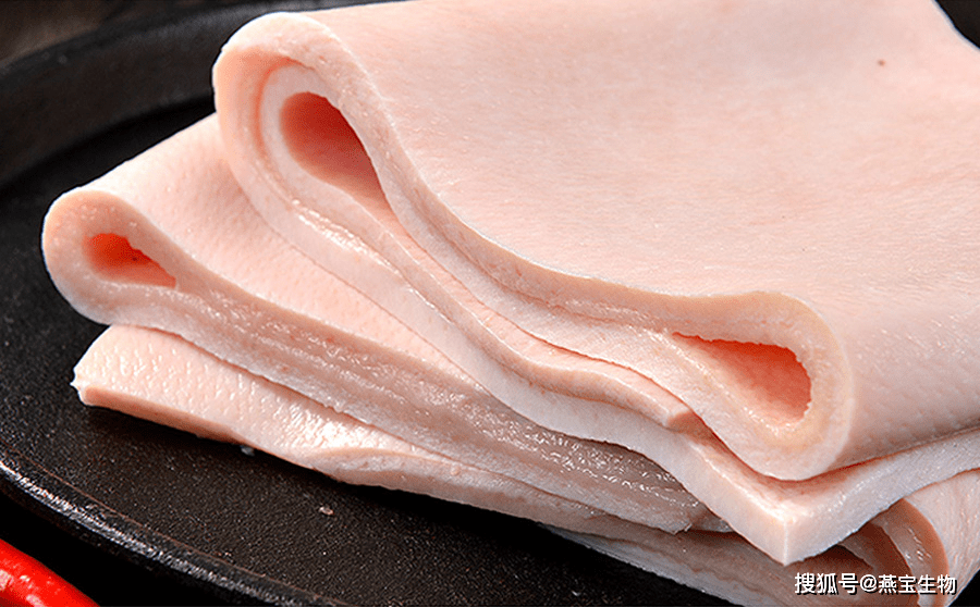 猪皮_加工_表面