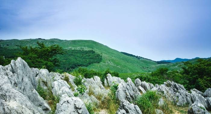 当人力物力财力都有限时，家电厂商应该选择这么干！-家电圈官网