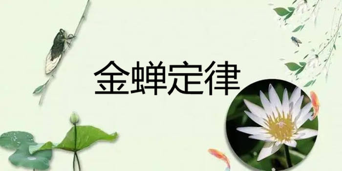 金蝉定律冯骥才说:"平庸的人用热闹填补空虚,优秀的人以独处成就自己.